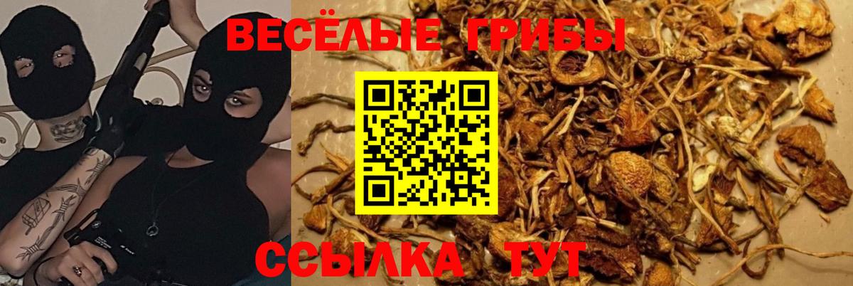 Воркута  Галлюциногенные грибы мицелий  Вход с VPN 